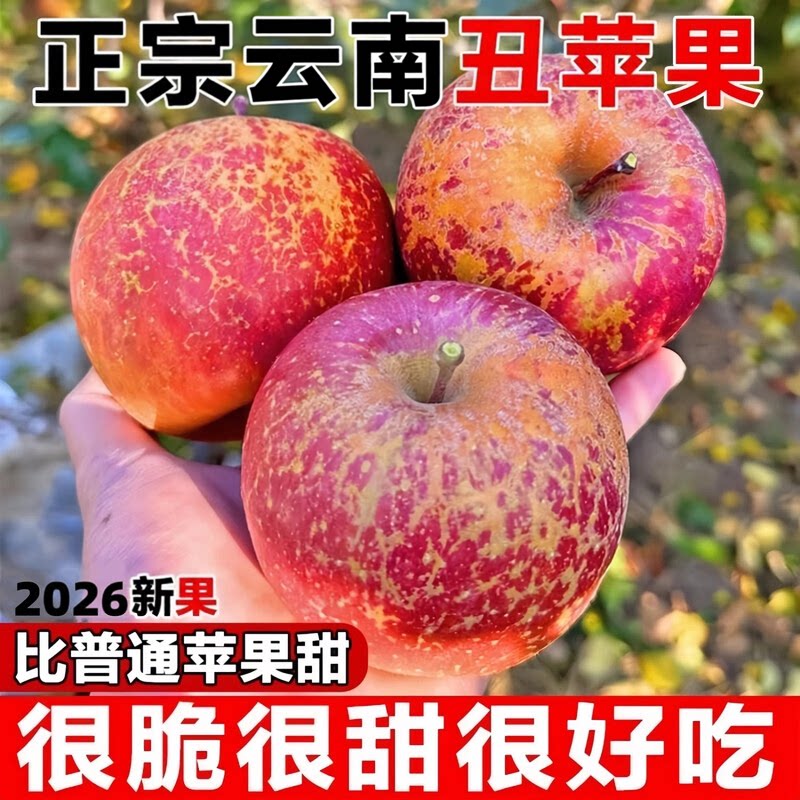 【正宗昭通丑苹果】现摘现发