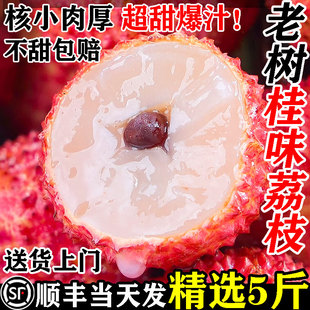 桂味荔枝新鲜现摘现发王仙进糯米奉糍无核巨籽无霸顺丰礼盒次日达