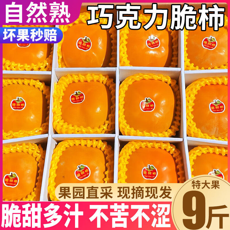 【巧克力脆柿】现摘现发不甜包赔