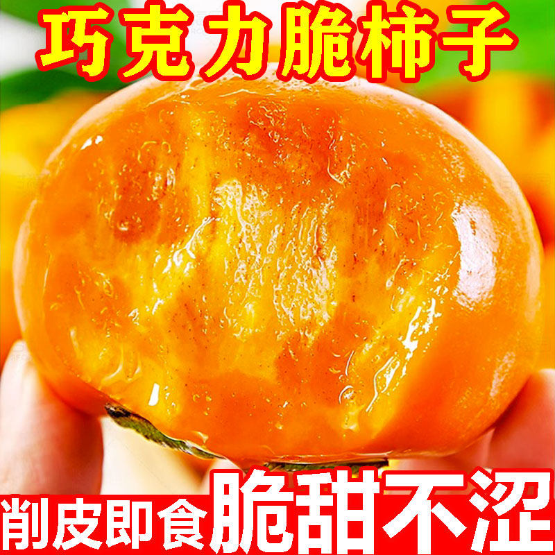 【巧克力脆柿】现摘现发不甜包赔