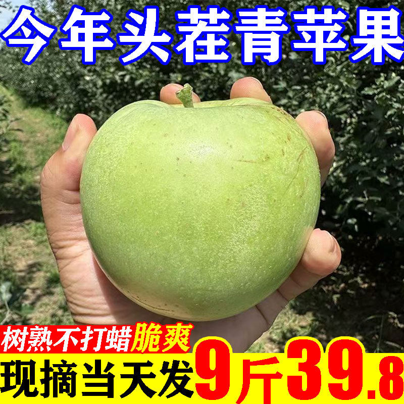 【39.8元/8.5斤】头茬青苹果