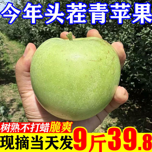 【39.8元/8.5斤】头茬青苹果