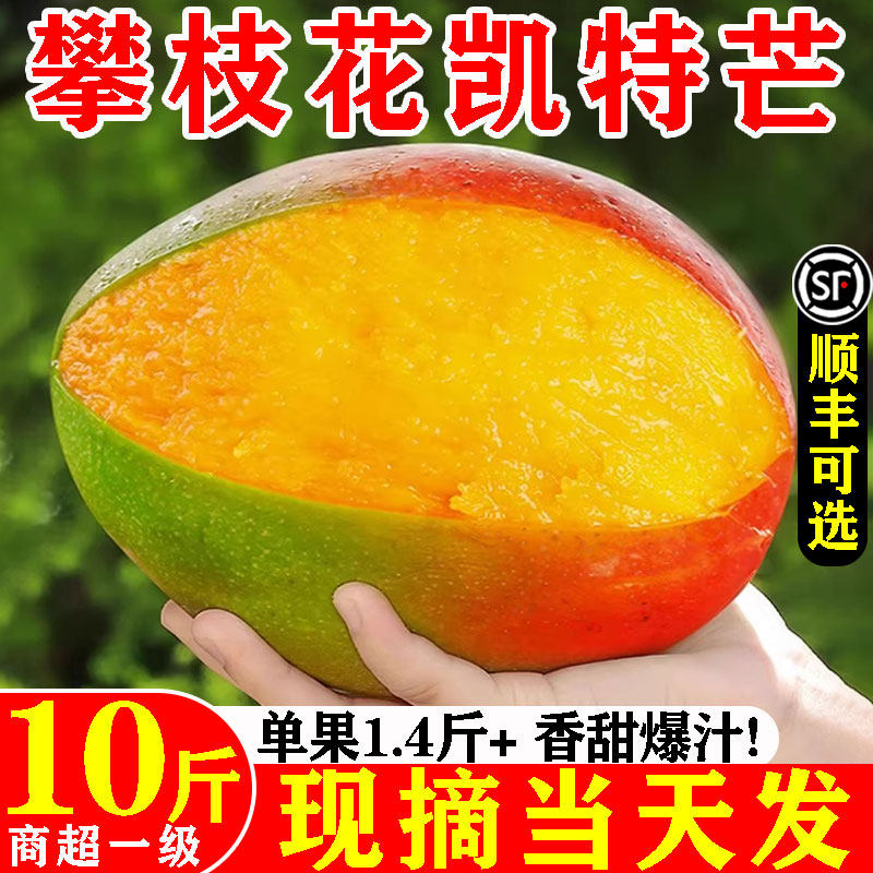 [顺丰]正宗攀枝花凯特芒产地直发
