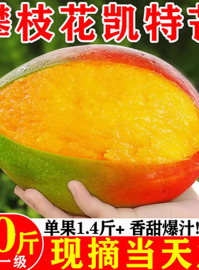 [顺丰]正宗攀枝花凯特芒产地直发