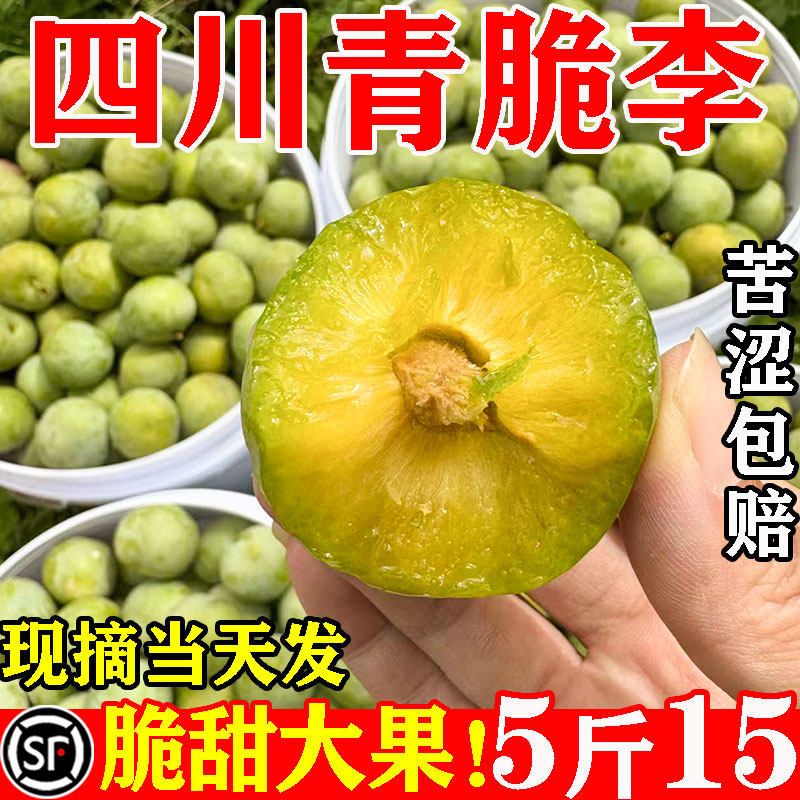 顺丰[15.8/5斤]四川青脆李