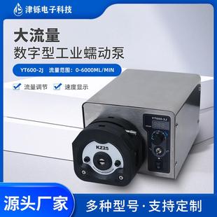 定制工业级蠕动泵YT600-2J调速型软管高精度大流量耐腐蚀恒流泵