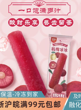 和路雪棒冰杨梅冰冰水果冰棍杨梅果汁60g1支冷饮雪糕冰淇淋