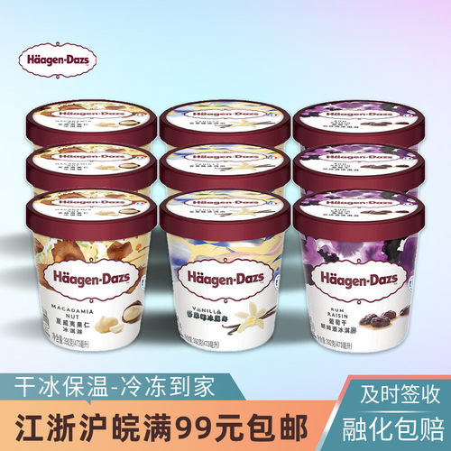 进口哈根达斯392克大杯冰淇淋