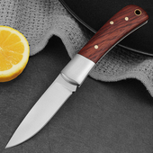 精美酸枝木柄不锈钢水果刀家用锋利开箱折刀白钢头日式 厨房瓜果刀