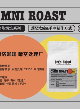 【LETSGRIND】全能烘焙系列 阿洛咖啡晴空处理厂 中浅咖啡豆120g