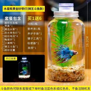 瓶自免创意微打理生态鱼缸造景斗换水景观循环桌面水族箱造免DIY