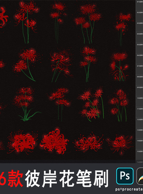 procreate彼岸花笔刷ps笔刷曼珠沙华ipsd手绘花朵花卉绘画素材