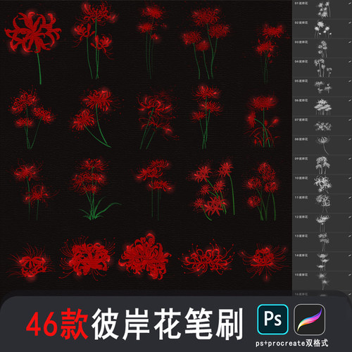 procreate彼岸花笔刷ps笔刷曼珠沙华ipsd手绘花朵花卉绘画素材
