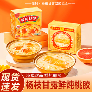 杨枝甘露鲜炖桃胶花胶粥港式 风味速食糖水桃胶花胶开盖即食165g