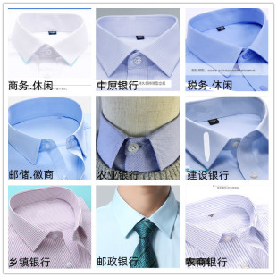单郎职业银行白色假领子男女通用衬衫 饰领尖领方领节约领 领毛衣装