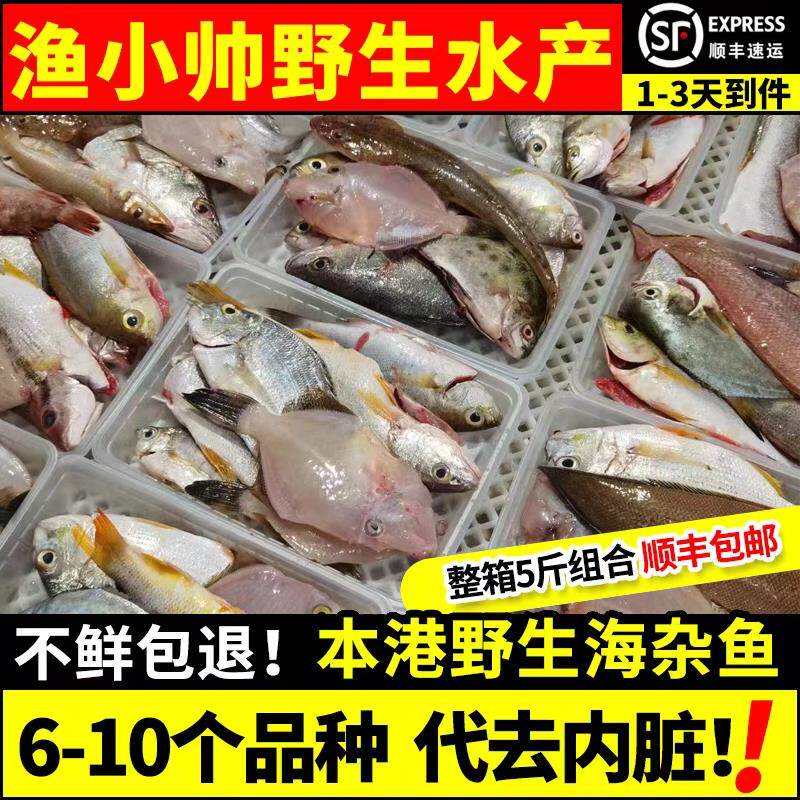 小船捕深海杂鱼已去脏磷5斤包邮 海钓杂鱼盲盒当天鲜活水产轻食材