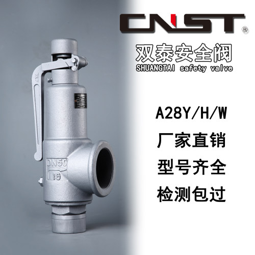 双泰安全阀A28H安全阀