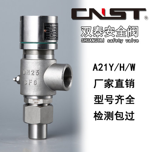 双泰微启式安全阀A21H