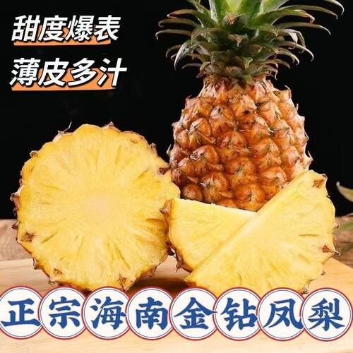 海南金钻凤梨新鲜现摘产地直发