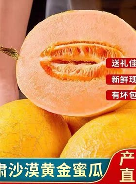 甘肃沙漠黄金蜜瓜现摘哈密瓜