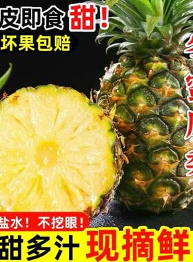 海南冬蜜凤梨树上熟青皮即食现摘
