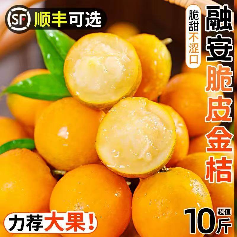 桂林脆皮金桔纯甜无酸皮薄脆甜新鲜大果当季水果精品超甜顺丰可选