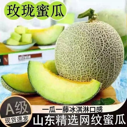 山东网纹蜜瓜玫珑瓜现摘哈密瓜