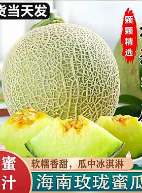 海南玫珑瓜网纹蜜瓜冰淇淋甜瓜一藤一瓜当天现摘当季水果哈密瓜