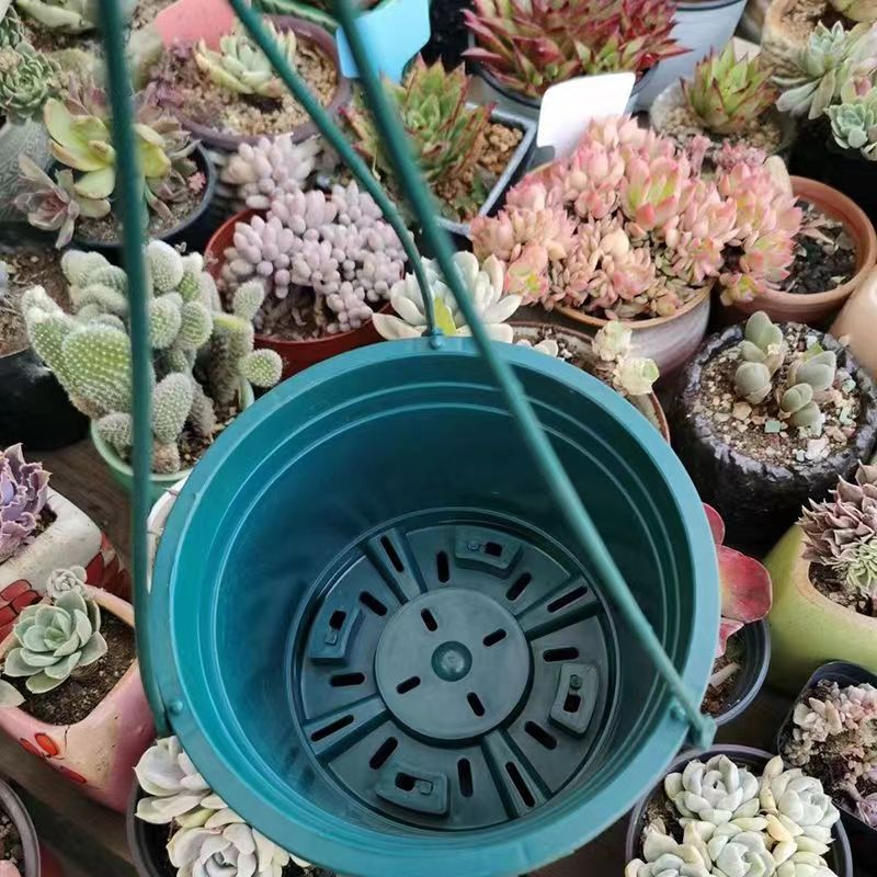 花博士吊兰篮盆绿萝盆栽家用印花加仑盆悬挂托盘垂吊加厚阳台包邮