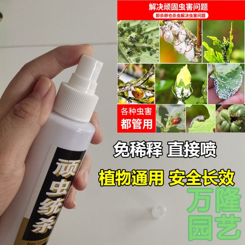 北京九州护花神绿花神顽虫统杀双效合一喷雾剂蚧壳虫小黑飞红蜘蛛