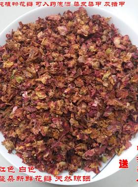 红色凤仙花指甲草鲜打粉染发