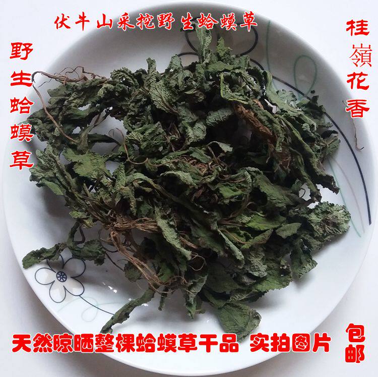 蛤蟆草 雪见草野生皱皮草整棵幼草中草药荔枝草天然晾晒250g 包邮