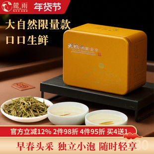 2025新茶上市天目湖黄金茶明前头采黄金芽溧阳采摘茶叶春茶