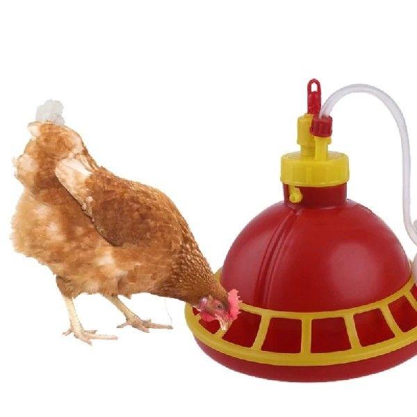 Chick Feeder Durable Plastic Poultry Feeder Fed Hanging