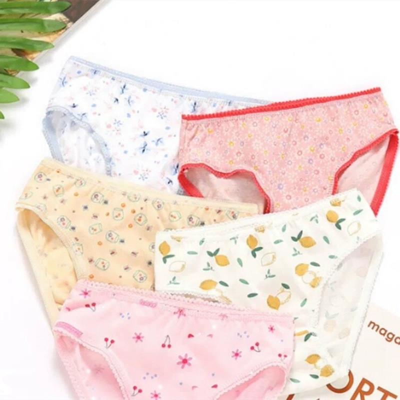 Hot Sale 6 Pcs/lot Baby Kids Girls Underwear Briefs Panties1