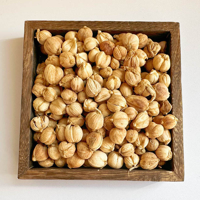 白豆蔻  白蔻 紫蔻 调味料  卤水火锅香料 含量高味道浓当季新货