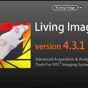 Living Image软件远程安装 4.3/4.4/4.5动物活体成像数据分析研究