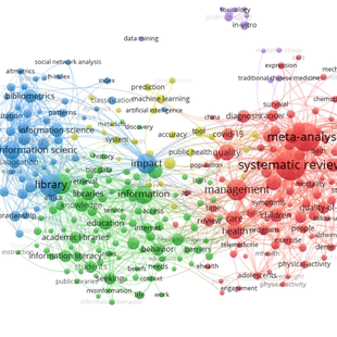 VOSviewer远程安装|java配置|cytoscape远程安装|gephi远程安装