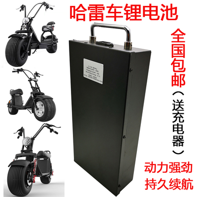 哈雷电动车锂电池60v12ah20ah48v