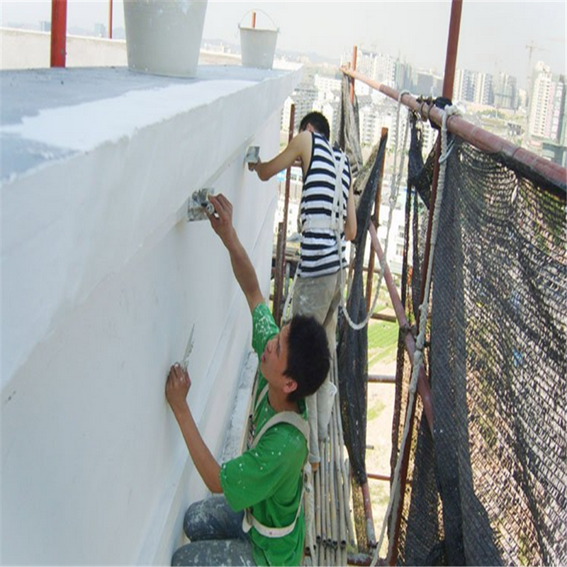Sealer EXTERIOR Primer Lacquer/Sheet lacquer/Imitation marble Primer 20kg Optional colorsin the Basic building materials , Paint (Latex) , Exterior latex paint  category - from Buy2taobao.com to provide professional Taobao agent buy service