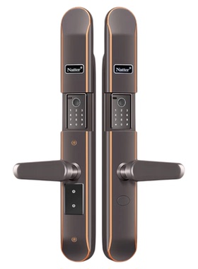 耐特Natter新款不锈钢智能锁庭院别墅户外防水指纹密码电子感应锁