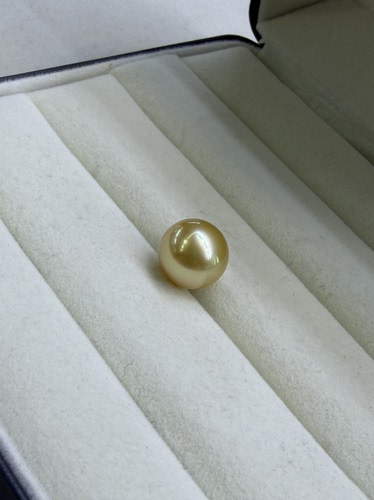 浓茶金南洋金珠12.8mm正圆单珠可定制戒指吊坠项链天然海水金珍珠