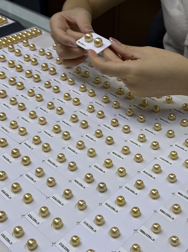 秋季新货南洋金珠8-13mm正圆极强光绚金