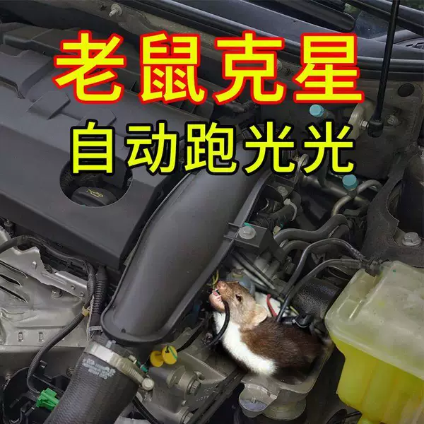 Товары от 梦炼车品专营店