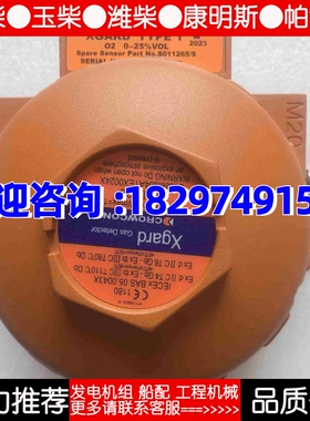 科尔康 CROWCON XGARD TYPE1 氧气O2 气体探测器  只供船用