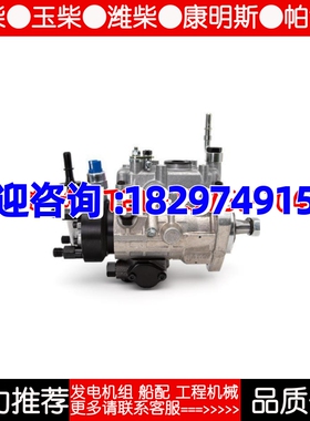 1424-9320A142T帕金斯喷油泵2644H201PR/2/1950货期4周