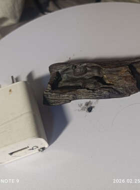 纯天然木化石戈壁石风凌石沙漠漆彩石造型石奇石观赏石摆件泥石