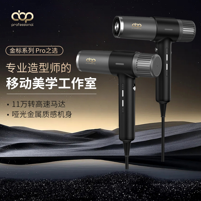 abp专业沙龙发型师专用大功率大风力负离子速干护发造型电吹风H6