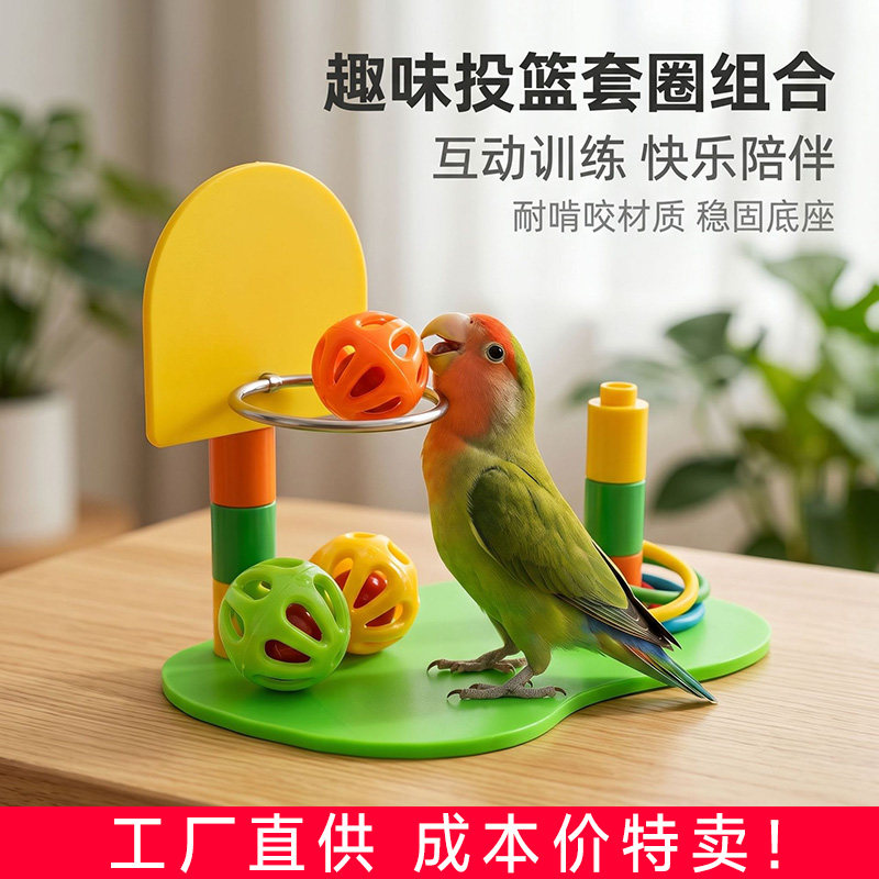 鸟玩具鹦鹉训练道具投篮套圈组合解闷中小型鸟类互动训练用品用具