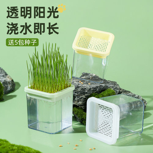 猫草盆栽猫咪化毛草小麦种子育苗盘无土水培杯懒人猫草种植盒